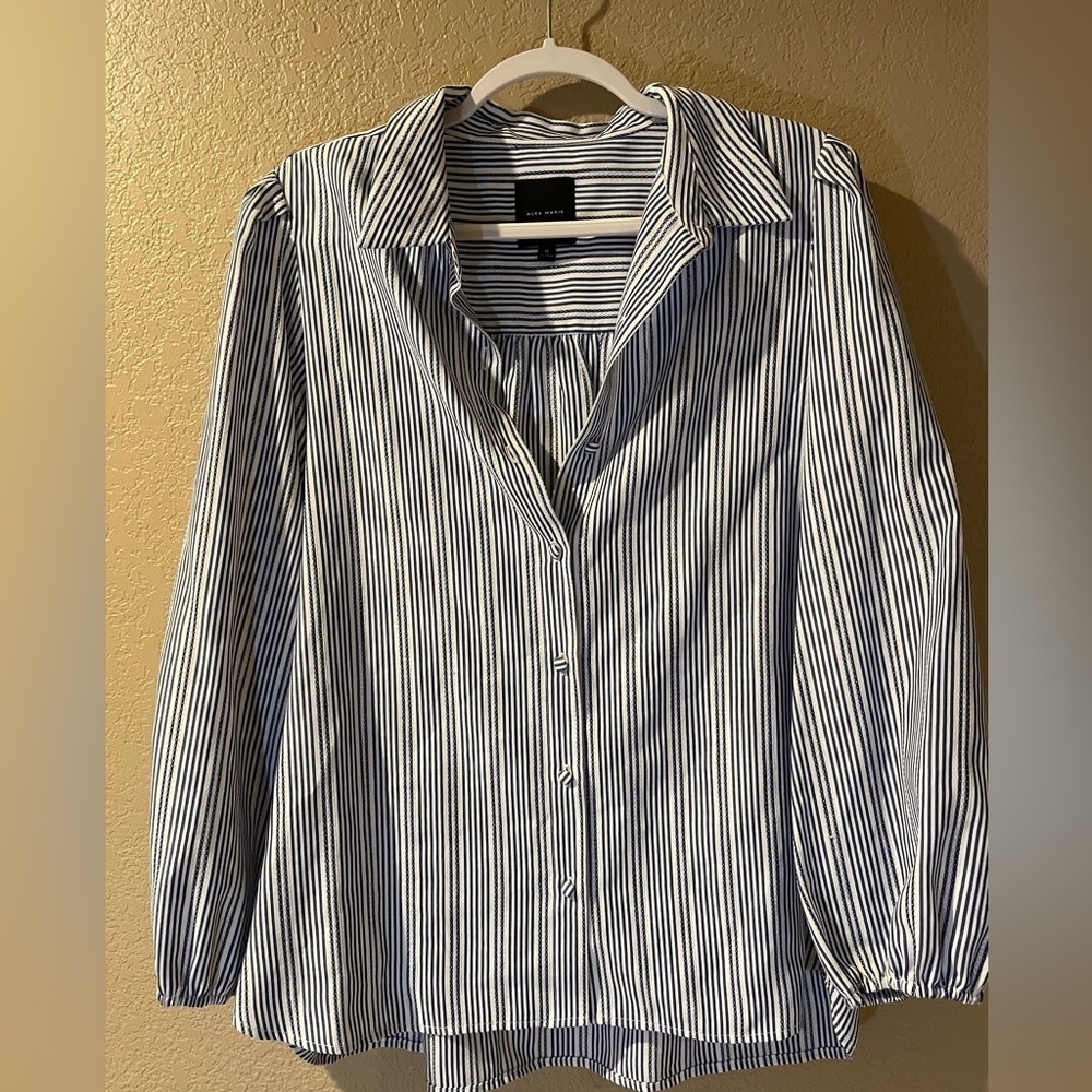 Alex Marie Blue and White Striped Shirt